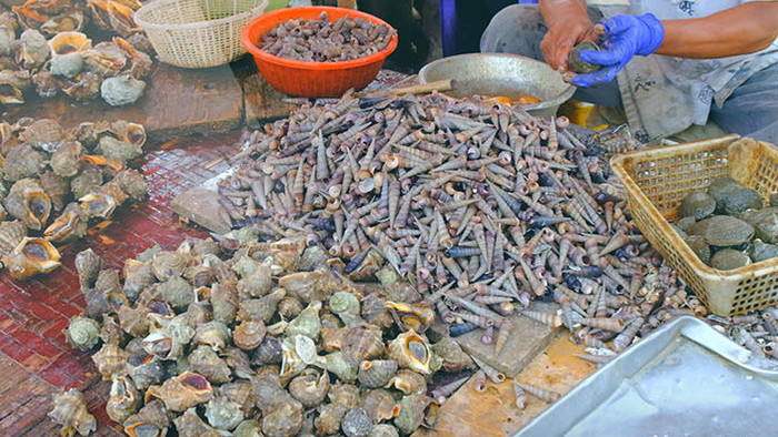 海螺贝类蛤喇花蛤花甲蛤海鲜海鱼海鲜市场