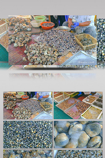 海螺贝类蛤喇花蛤花甲蛤海鲜海鱼海鲜市场图片