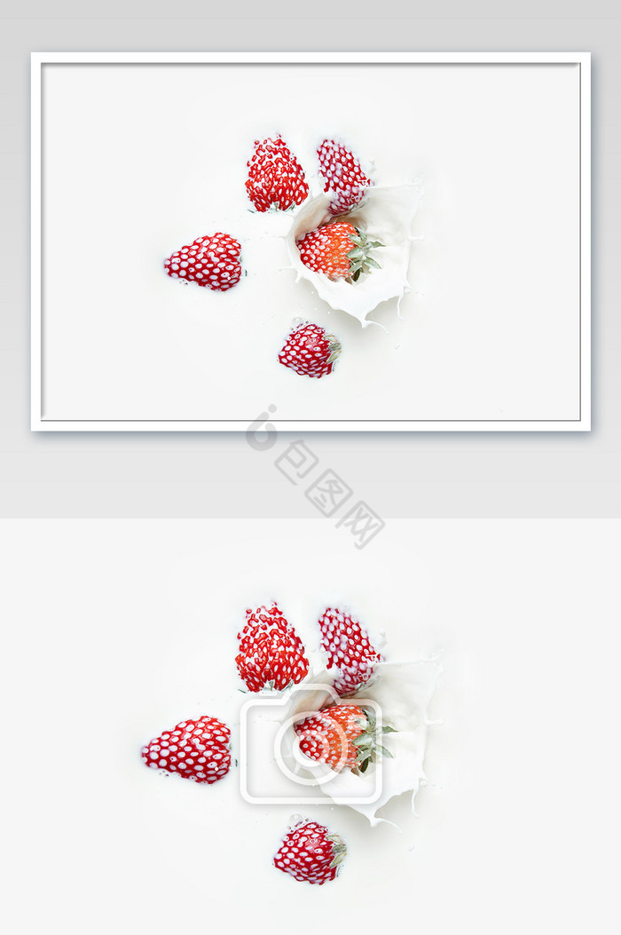 新鲜草莓融入牛奶创意摄影图片
