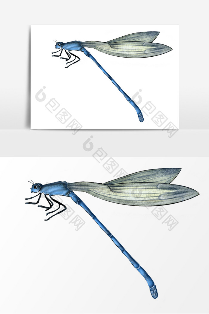 昆虫蓝色蜻蜓元素