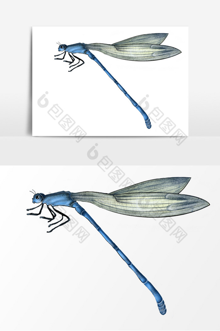 昆虫蜻蜓图片图片