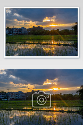 稻田耕地农村自然风貌黄昏日落夕阳摄影图