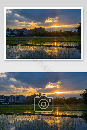 稻田耕地农村自然风貌黄昏日落夕阳摄影图图片
