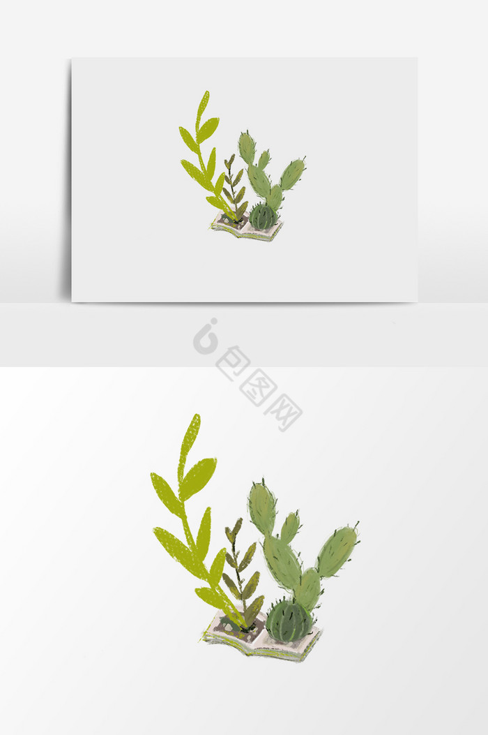 植物仙人球盆栽插画图片