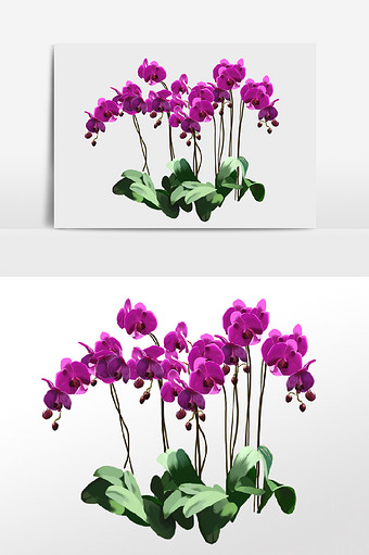 紫色豌豆花花卉植物元素图片