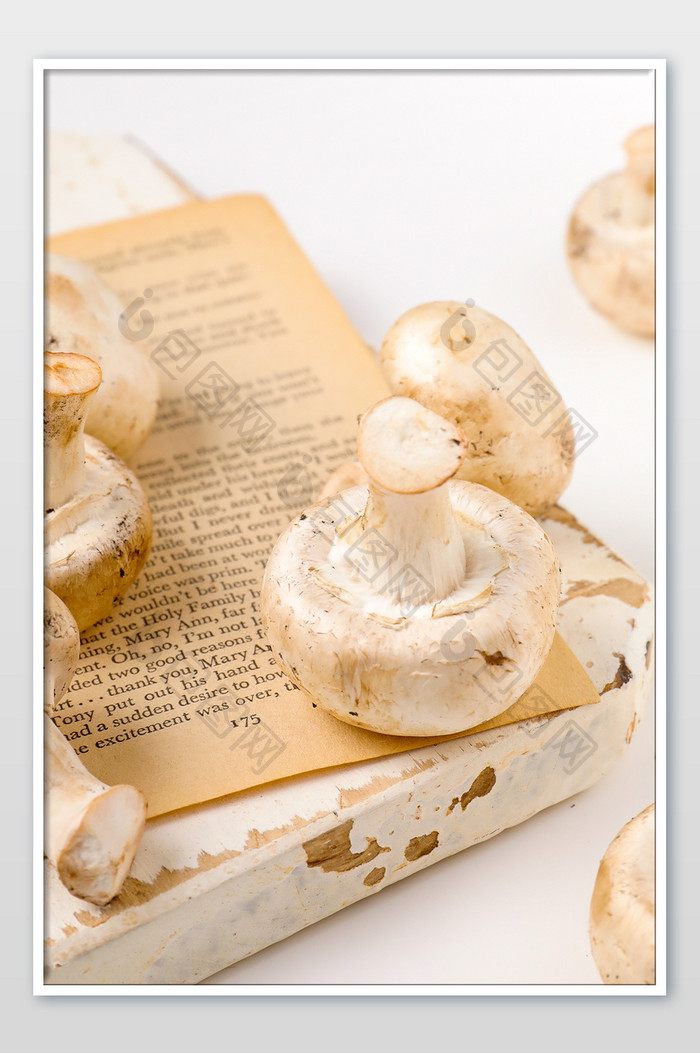 蔬菜蘑菇菌菇海报背景图
