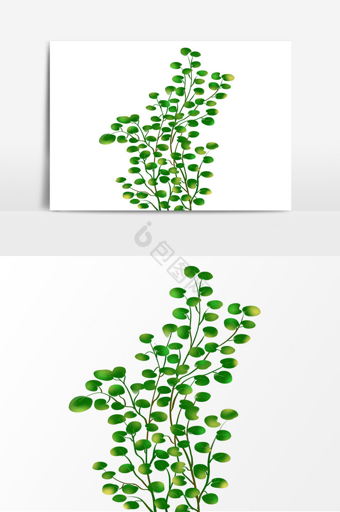 风植物叶子装饰图片