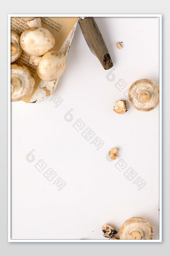 新鲜蔬菜菌菇蘑菇海报图