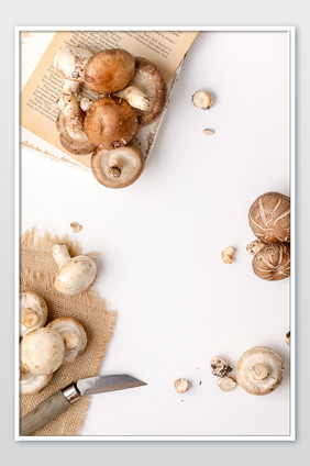 蘑菇刷才菌菇海报背景图