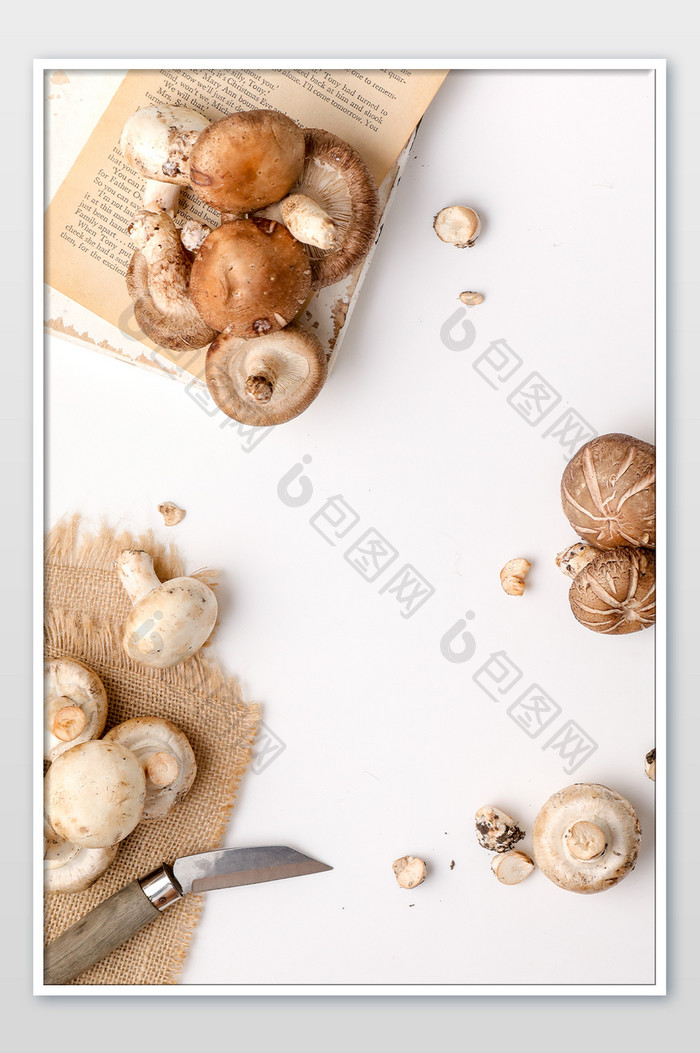 蘑菇刷才菌菇海报背景图