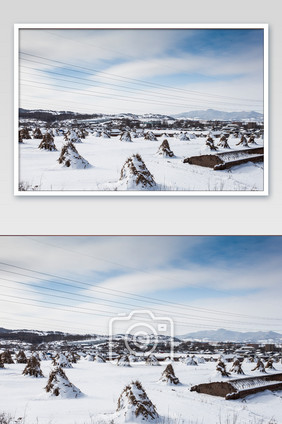 冬季东北乡村雪景