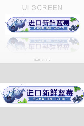 蓝莓水果活动胶囊banner