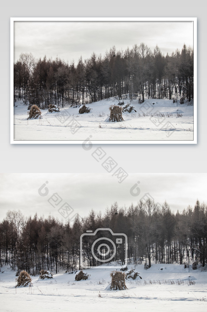 小山树木冰天雪地图片