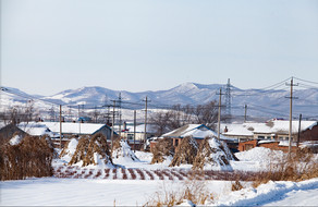 东北农村景色图片