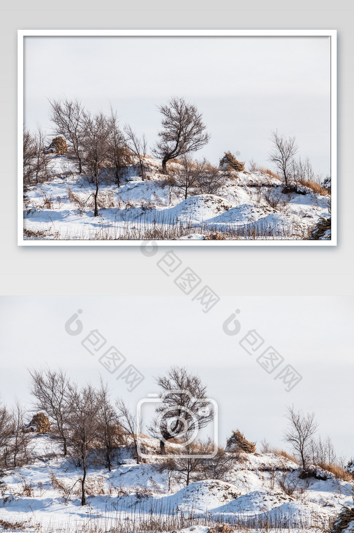 冬季景色摄影图片
