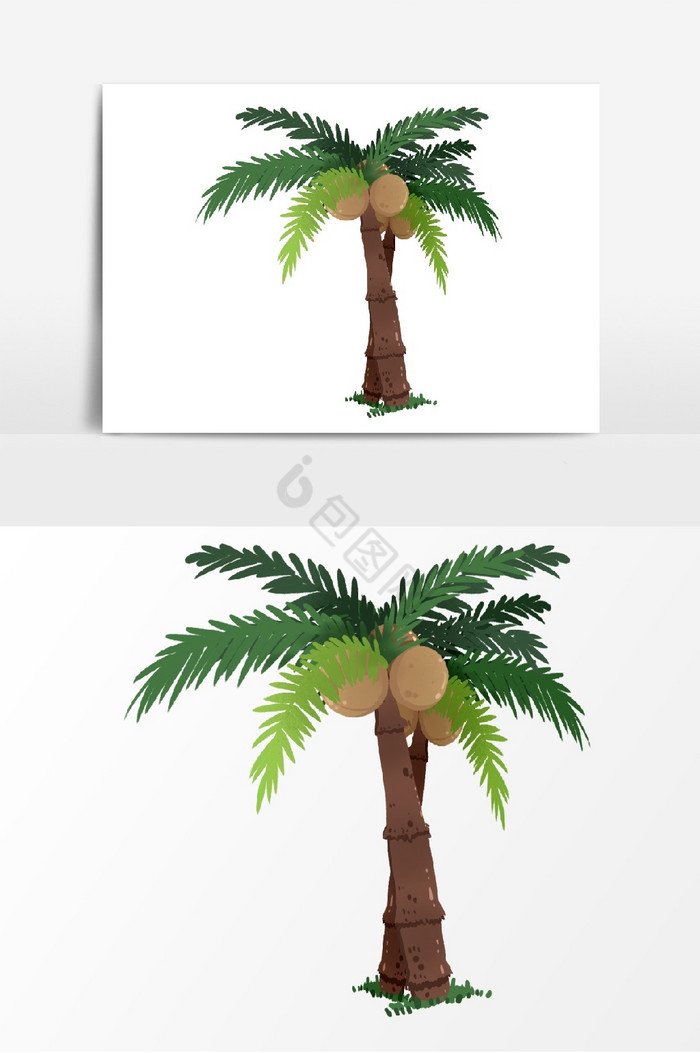 度假热带椰子树图片