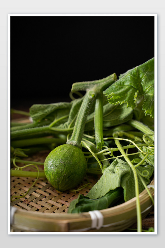 南瓜叶南瓜藤农作物健康养身蔬菜摄影图图片图片