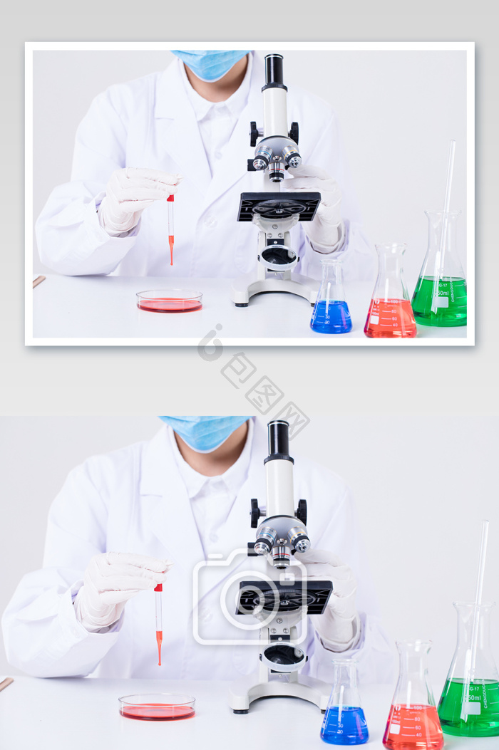 豚鼠实验图片_正版豚鼠实验素材下载-包图网