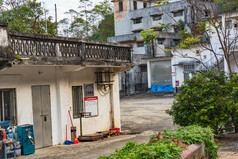 广东老房子爬山虎满墙小镇图片素材