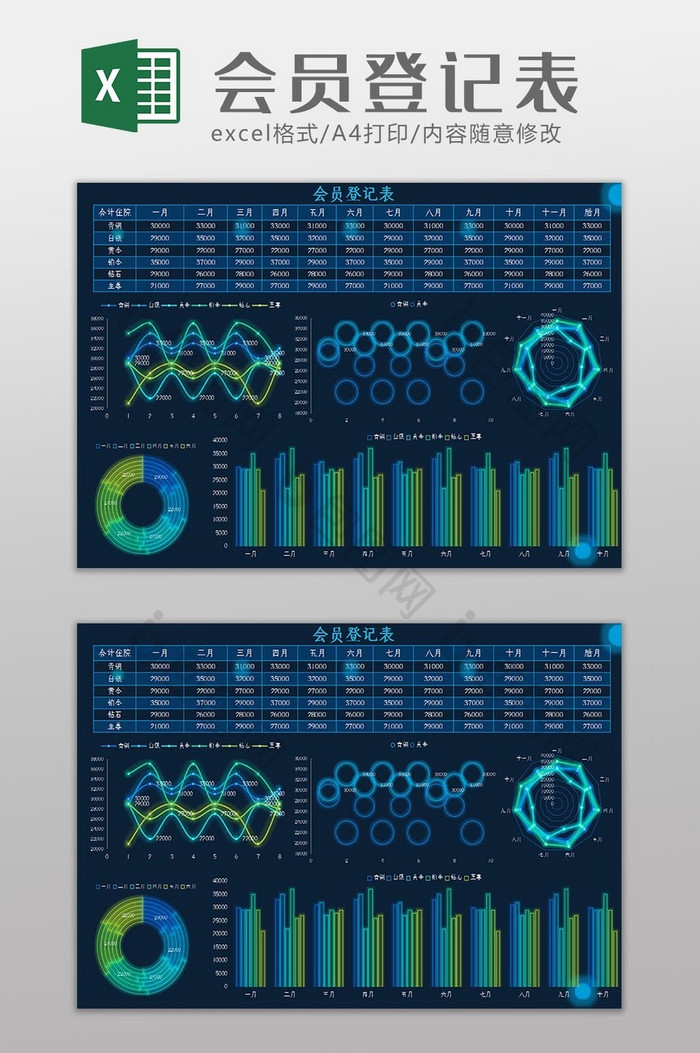 可视化会员登记表Excel模板