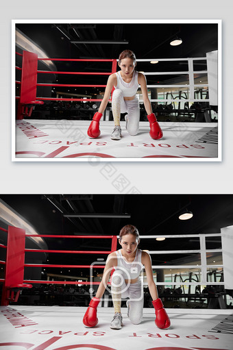 健身房运动女生拳击霸气下蹲正视前方宣传图图片
