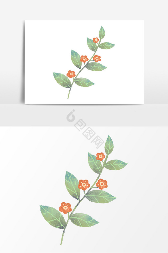 文艺花朵叶子植物插画图片