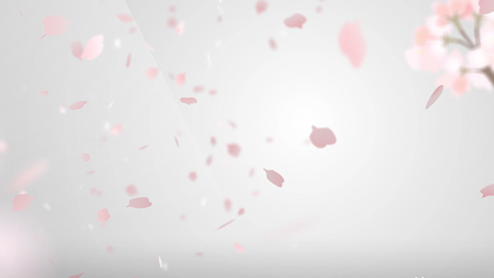 唯美樱花飞舞动画素材背景特效视频