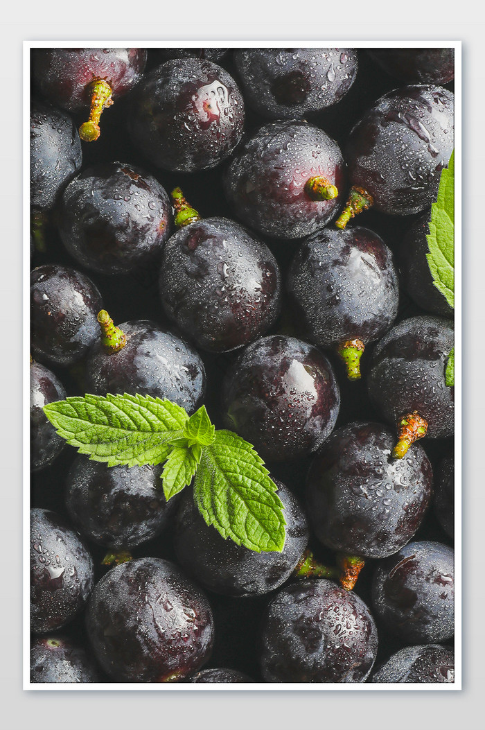 水果新鲜葡萄薄荷素材图片图片