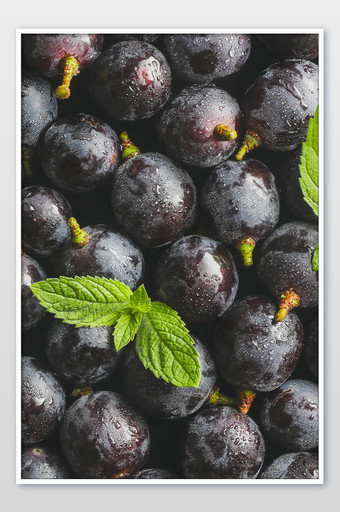 水果新鲜葡萄薄荷素材图片