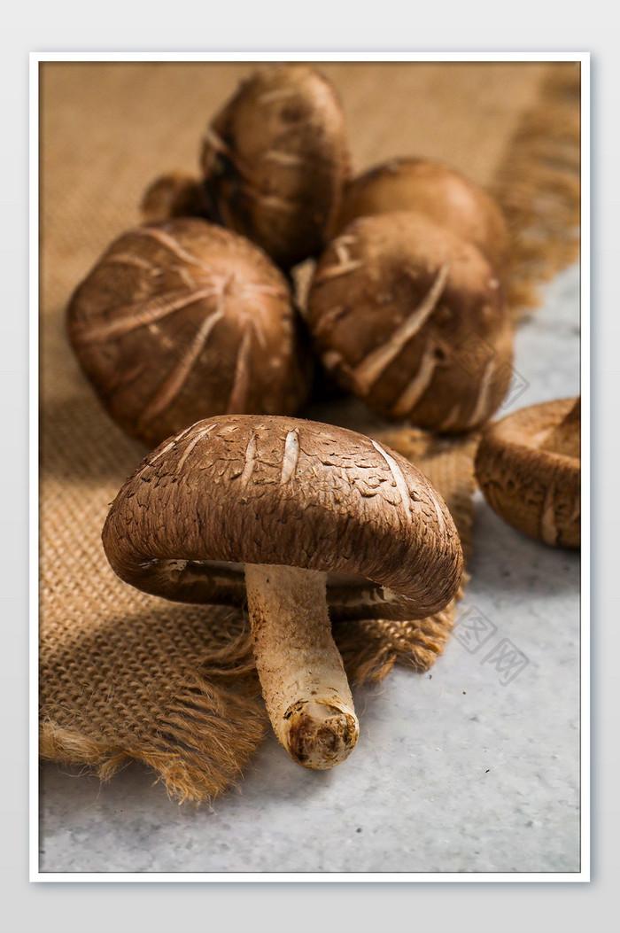 新鲜蔬菜菌菇香菇素材海报