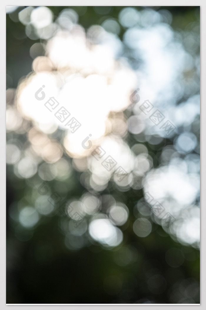 清新夏日阳光穿透树丛的光斑摄影图