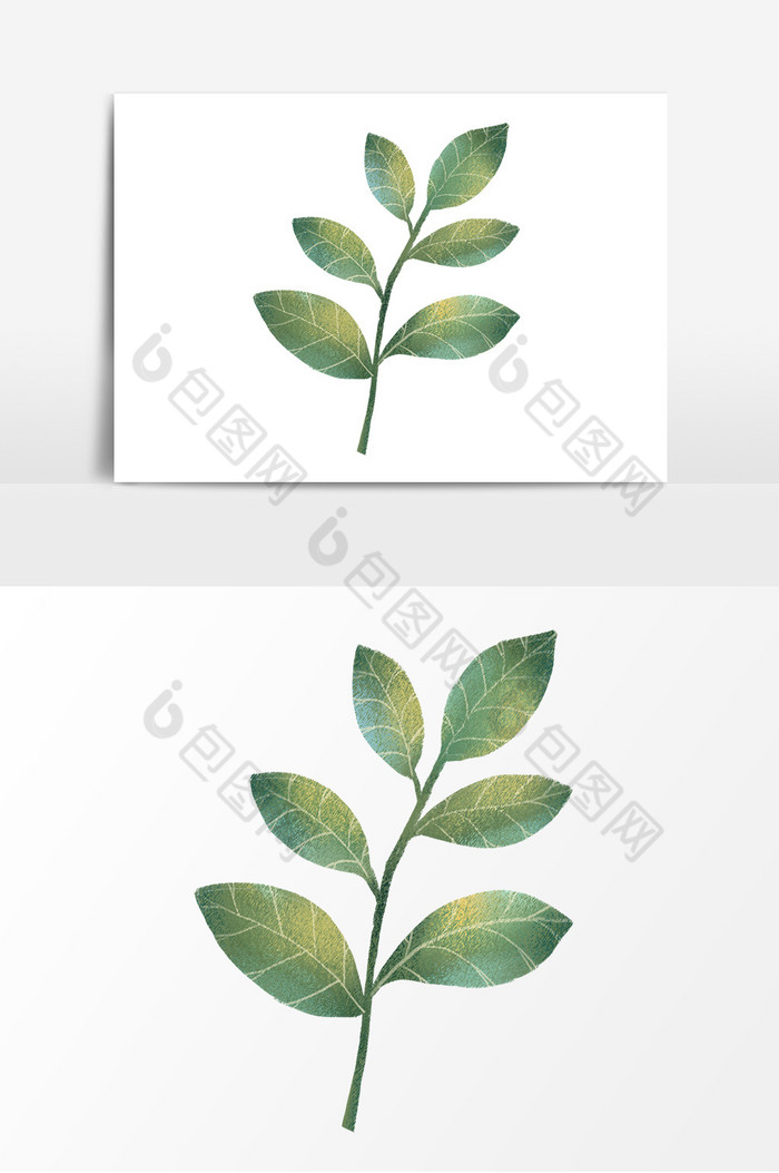 树叶植物装饰图片图片