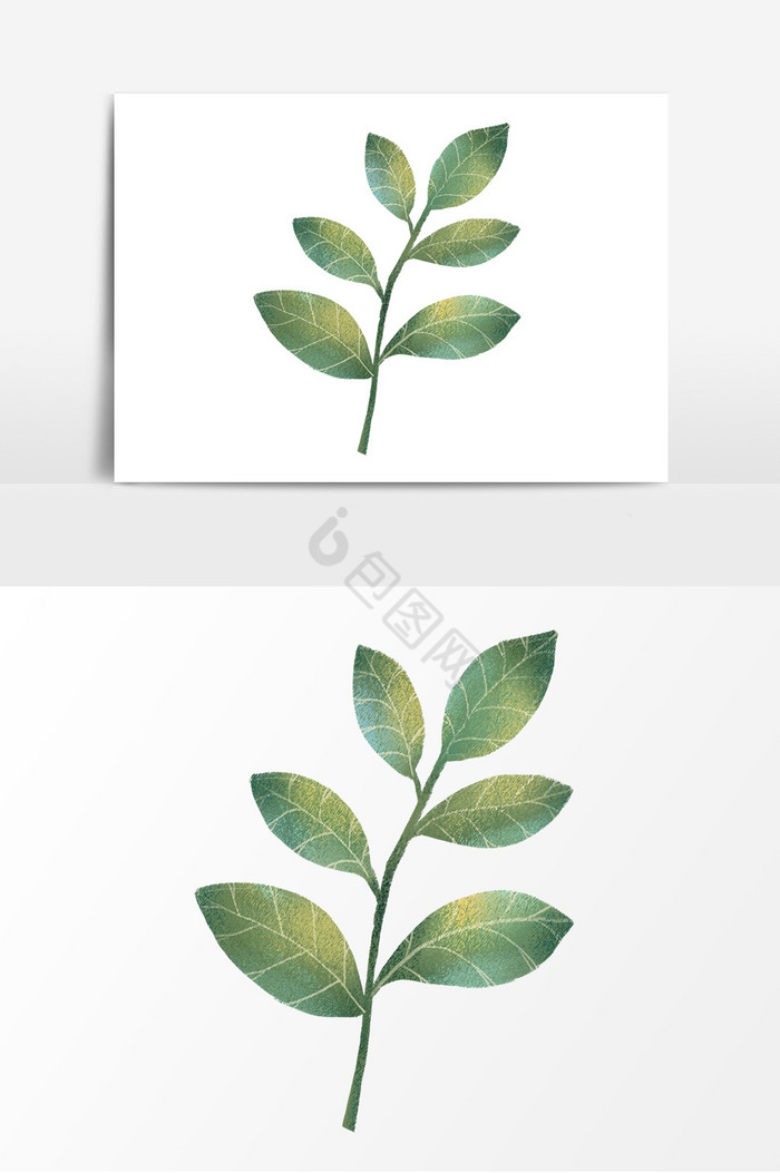树叶植物装饰图片