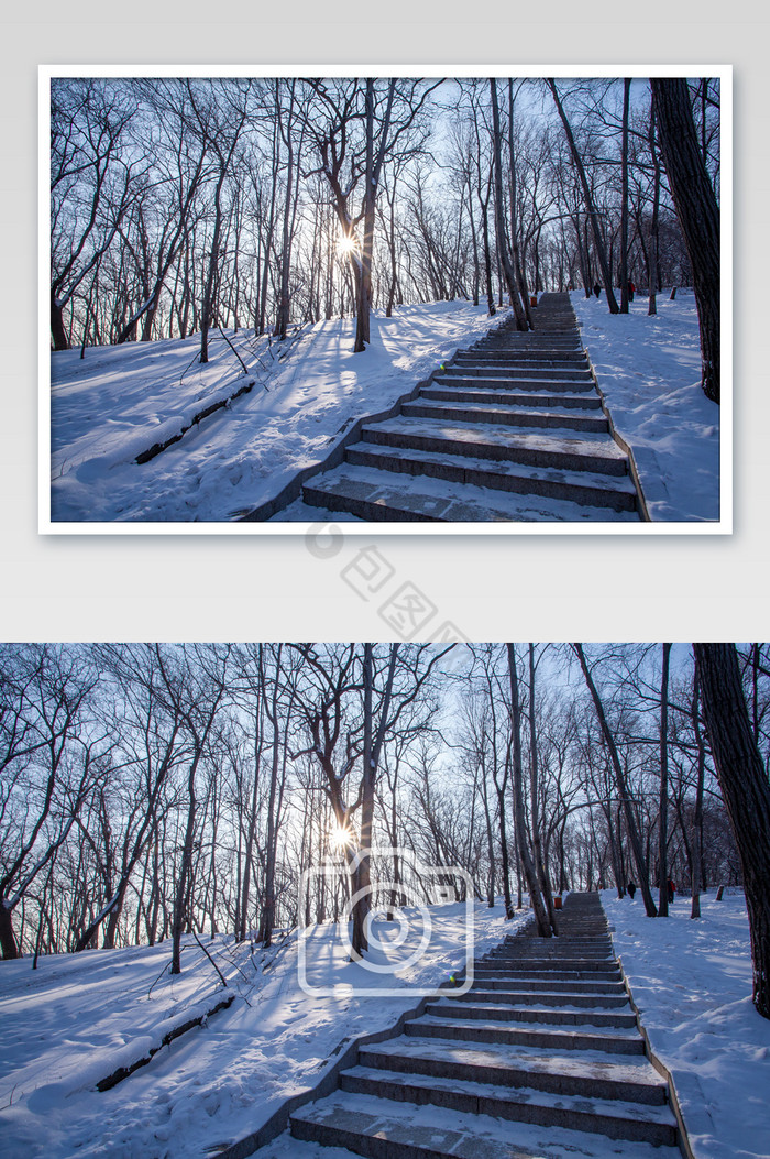 冬季山林雪景风光摄影图片