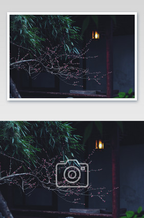 古典园林梅花竹子意境配图