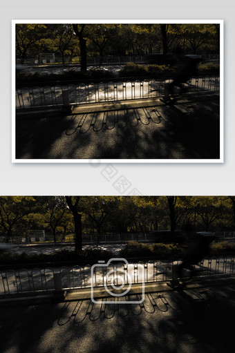 暗调黑白暖色调下午树影街头摄影意境素材图片