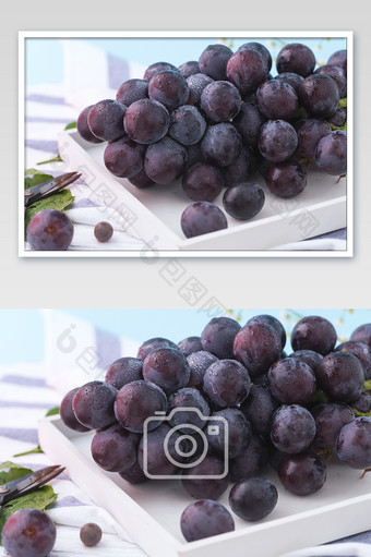 新鲜黑葡萄清新水果背景图片