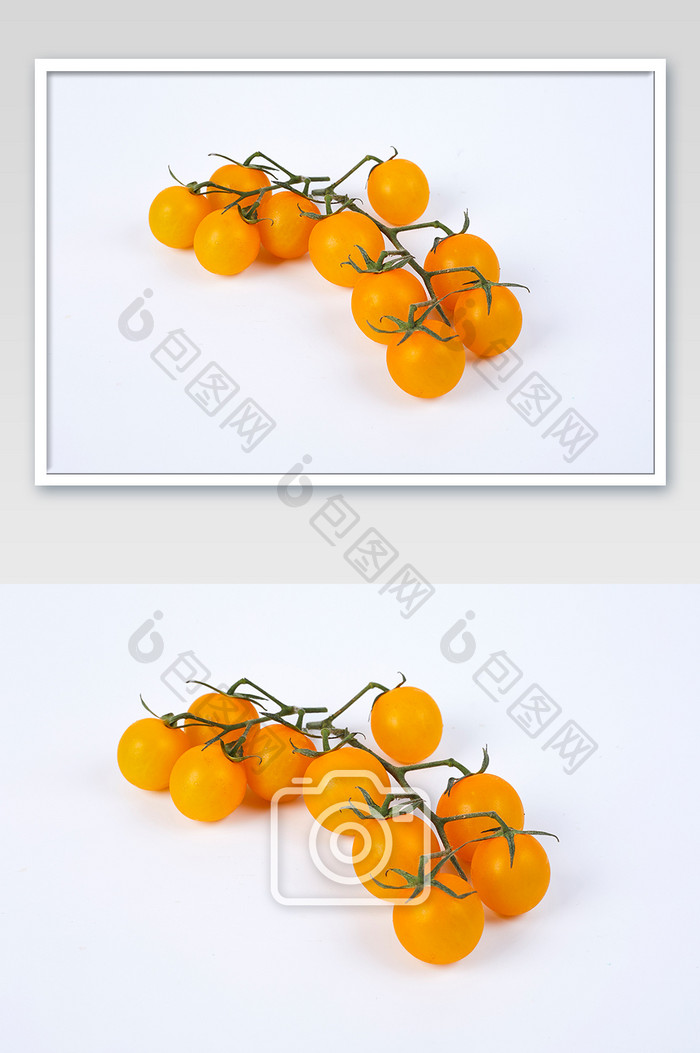 黄色小番茄西红柿新鲜水果白底美食摄影图片