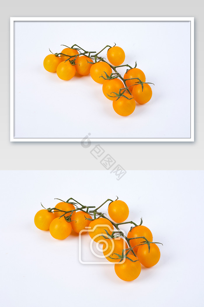 黄色小番茄西红柿新鲜水果白底美食摄影图片