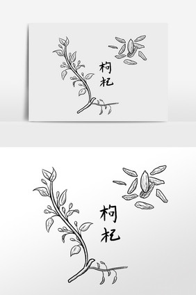 手绘线描中药药材养生枸杞插画