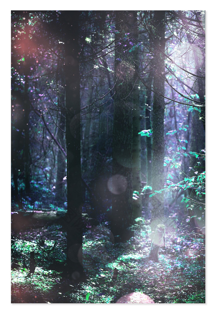 森林树木梦幻光线背景