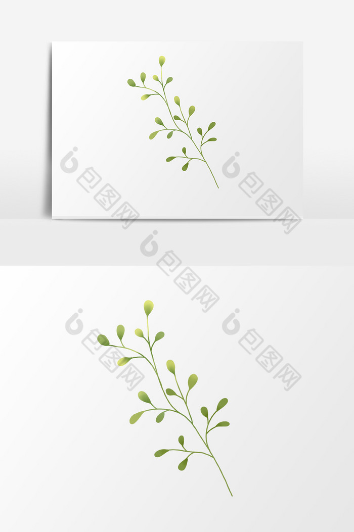 植物插画叶子图片图片