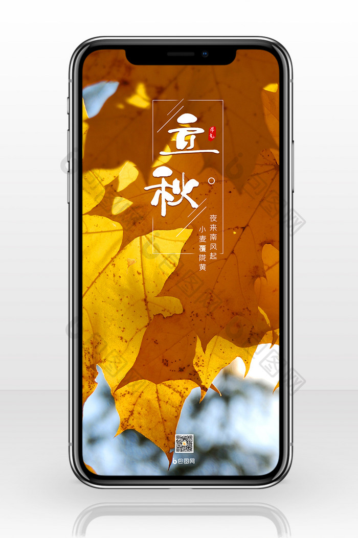 二十四节气立秋枝头的枫叶手机海报