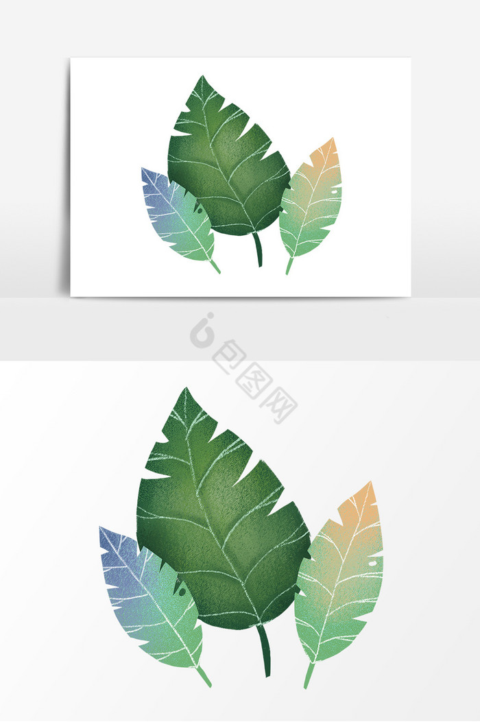 绿叶叶子植物装饰图片
