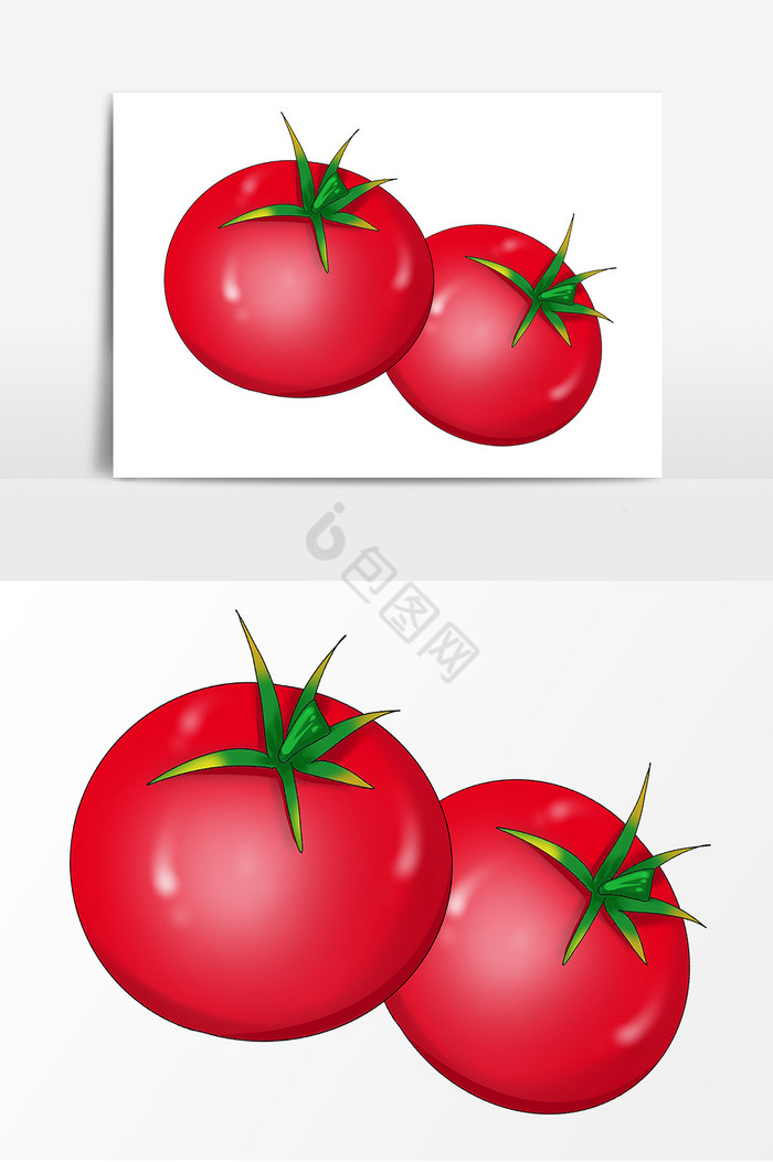 西红柿水果图片