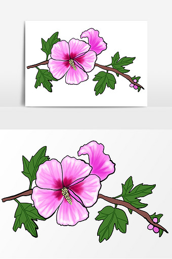 涵盖木槿花广告设计,木槿花摄影图,公众号首图,banner,插画等各种应用