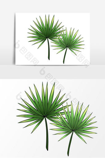 手绘卡通植物棕榈椰子图片