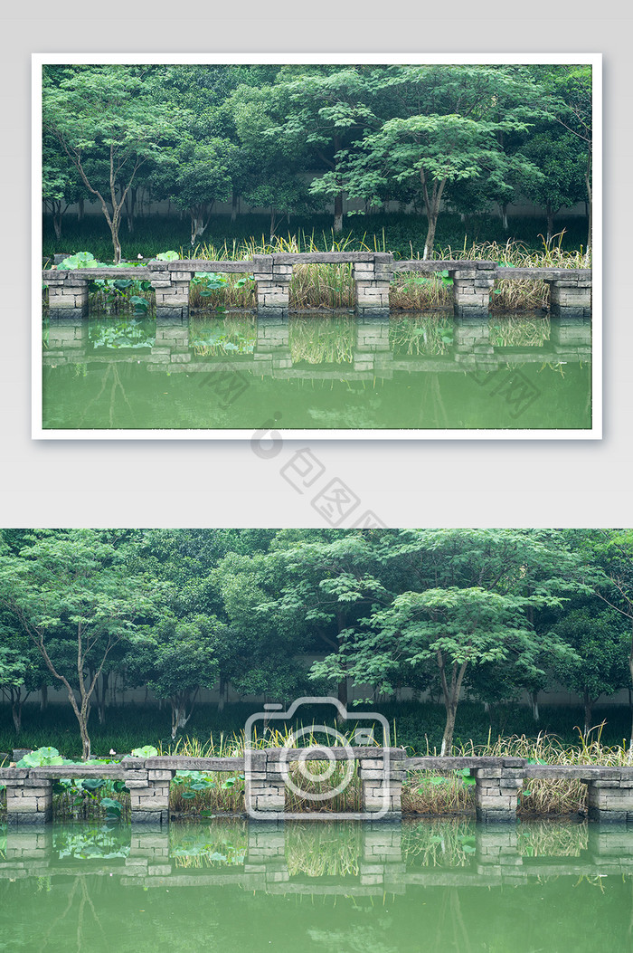 夏季水潭绿植小溪石桥中国风清新