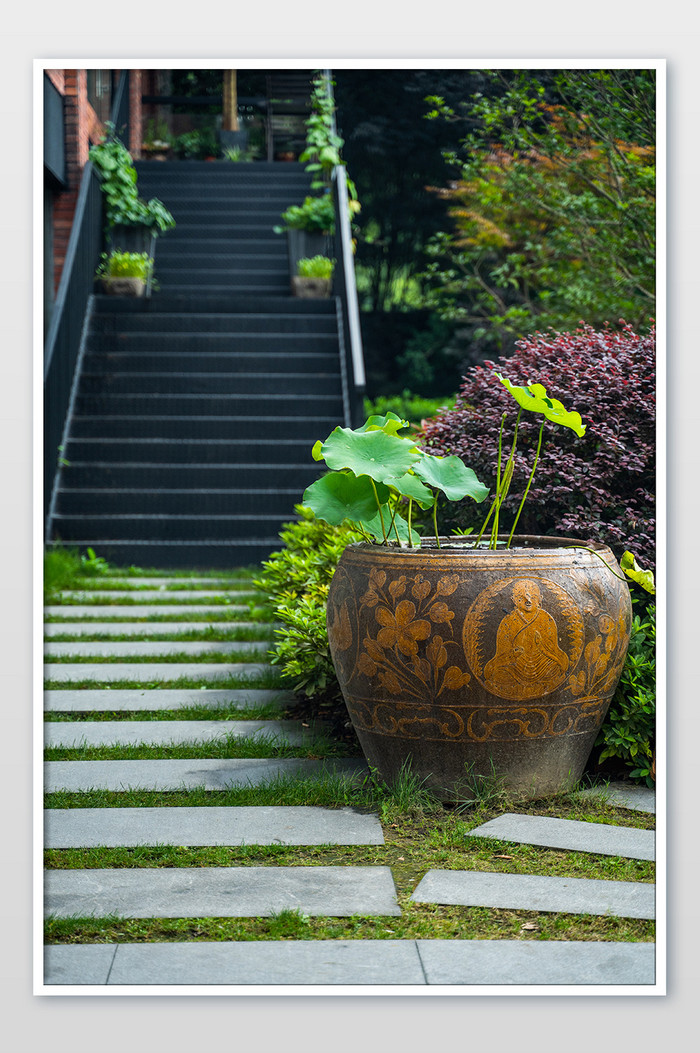 夏季阶梯绿植荷叶水缸中国风清新图片