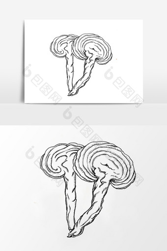 线稿中草药灵芝元素图片